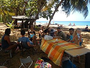 Chauve-souris DSCN5106.JPG