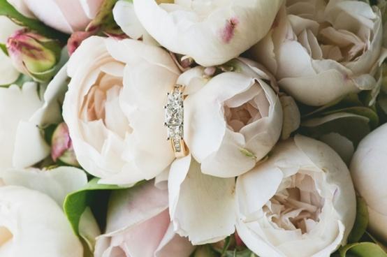 De l'ambivalence des sentiments De l'ambivalence des sentiments