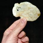 Épatante patate Épatante croustille Dodo