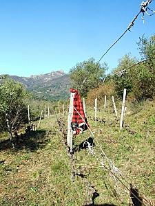un début et l'éternel retour.... veste.jpg