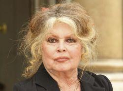Brigitte Bardot traite Cohn-Bendit de Brigitte Bardot traite Cohn-Bendit de