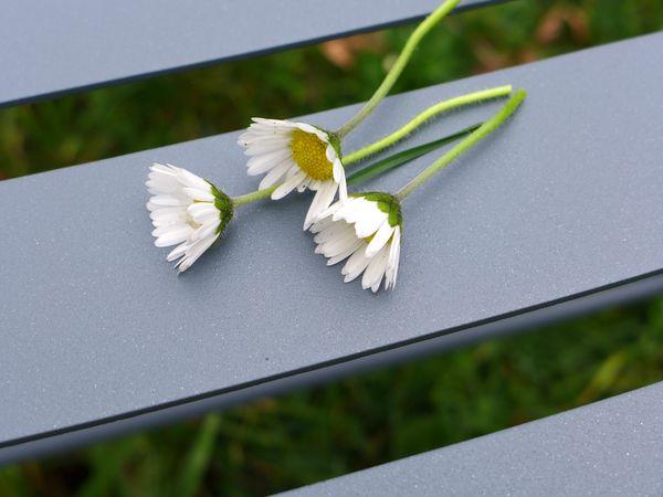 On n'est pas sérieux quand on a 40 ans P1000557