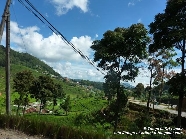 Et si on prenait le volant à travers les montagnes du Sri Lanka ?