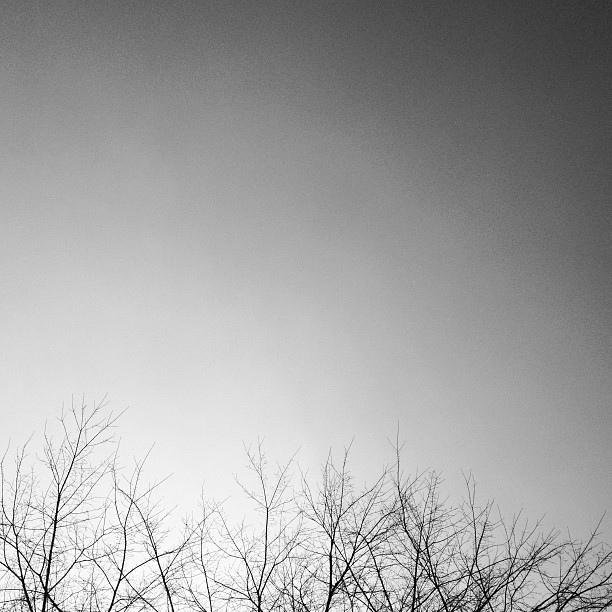 UN AVEUGLE QUI A L’ŒIL slide_273383_1953497_free