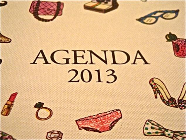 My-little-new-life-box-janvier-2013-agenda
