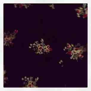 Qui a dit que je n’étais pas raisonnable ? 8be1fd1a59d811e2a98422000a9f1513_6