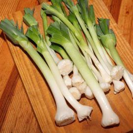 Chronique des Alpilles, par Kleio… Chronique des Alpilles, par Kleio…