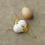 Qui de la poule ou de l’oeuf… Qui de la poule ou de l’oeuf…