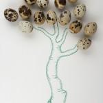 Qui de la poule ou de l’oeuf… Qui de la poule ou de l’oeuf…