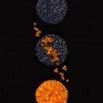 Qui de la poule ou de l’oeuf… Qui de la poule ou de l’oeuf…