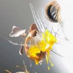 Qui de la poule ou de l’oeuf… Qui de la poule ou de l’oeuf…