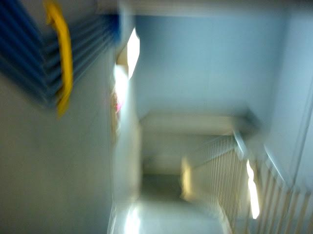 Japonisme : 閉じ込められる, confiné Japonisme : 閉じ込められる, confiné