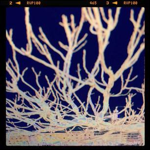 Promenade nocturne en coup de vent 848b33545caf11e2a86422000a1f9839_6