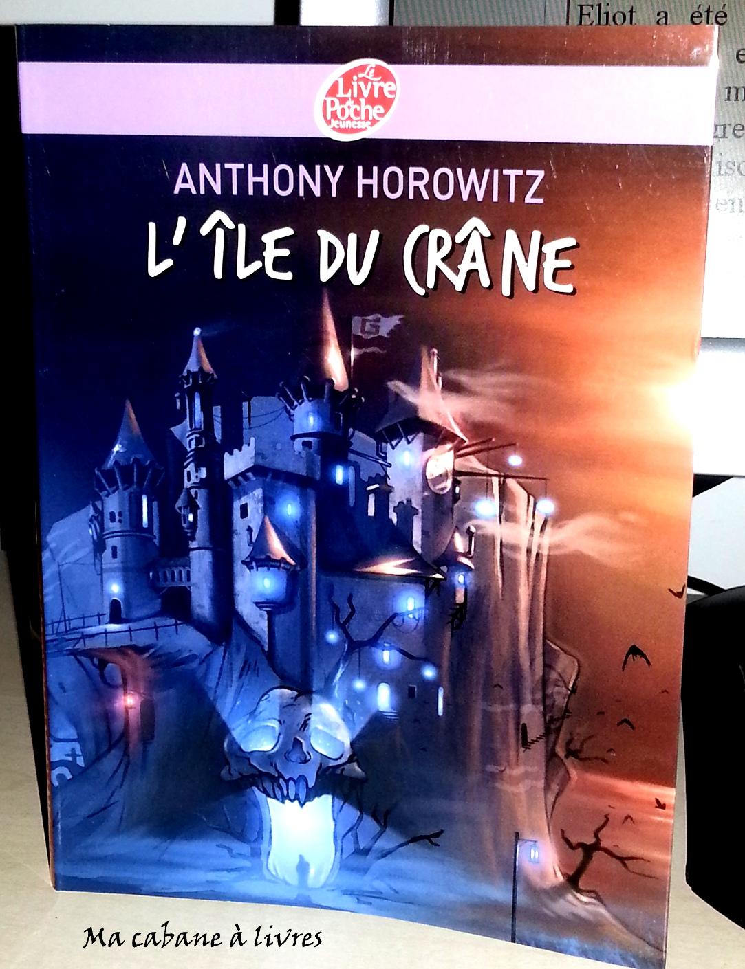 Le Tresor De L'ile Du Crane Solution L'île du crâne | À Voir