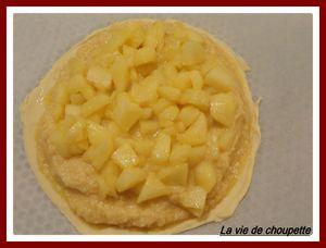 GALETTE MAISON AUX POMMES 052
