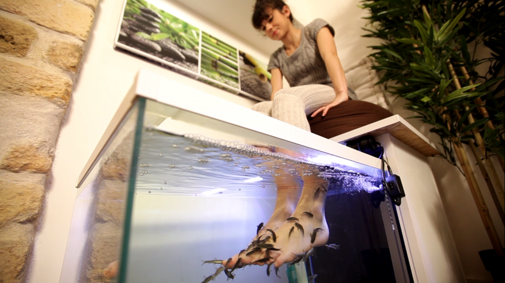 Fish SPA (model) À la rencontre du Bar à sieste