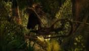 Radagast le brun 175x101 Le Hobbit : Un Voyage Inattendu