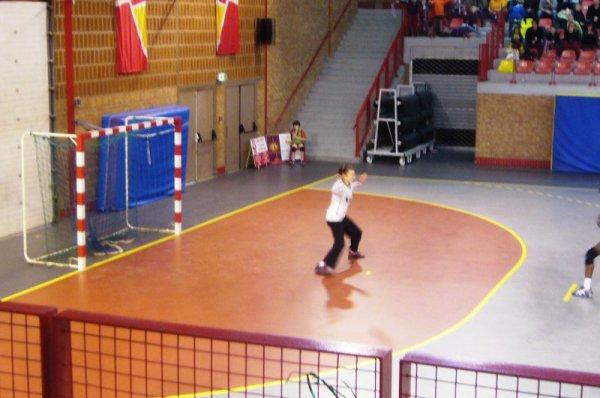 Handball féminin à Lomme : pas de miracle pour mon anniversaire, les filles du LLMH s'inclinent de justesse 31-32