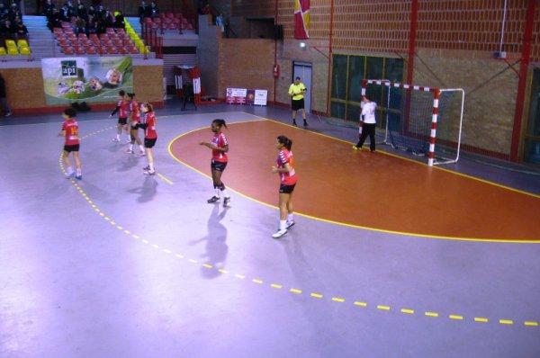 Handball féminin à Lomme : pas de miracle pour mon anniversaire, les filles du LLMH s'inclinent de justesse 31-32