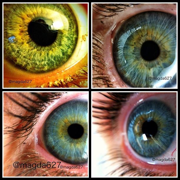 En attendant.... My olloclip test. I'm impressed !!