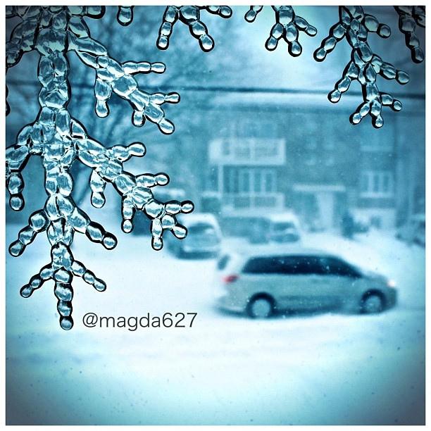 En attendant.... View from my window #winter #white #bigwhite #snow #bw #blackandwhite #street #streetphotography #montreal #quebec