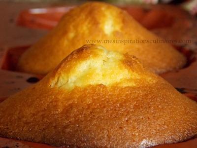 madeleines-glacees-orange9 madeleines-glacees-orange9
