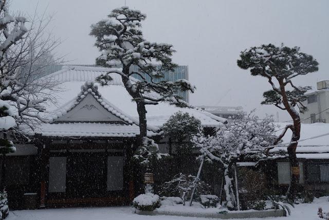 Tokyo sous la neige
