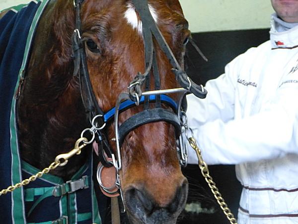 Hugo on wood et ses amis à Vincennes.......... P1200648.JPG