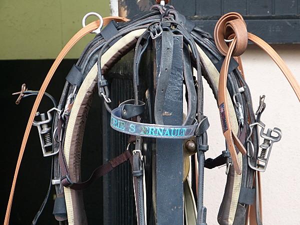 Hugo on wood et ses amis à Vincennes.......... P1200723.JPG
