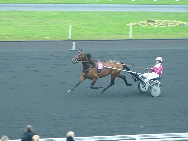 Hugo on wood et ses amis à Vincennes.......... P1200795.JPG