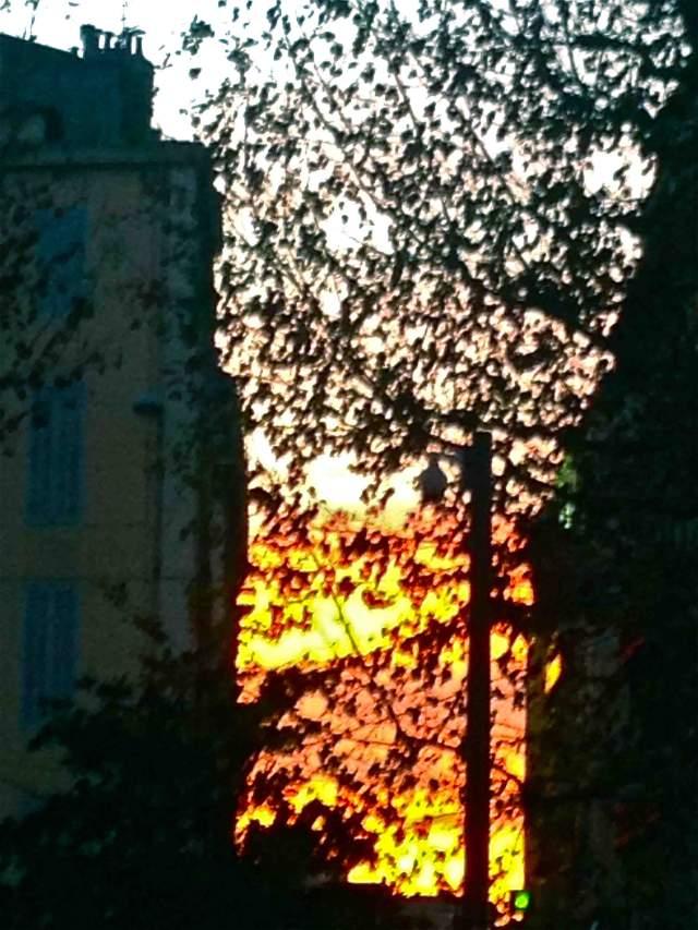 Ben quoi c’est vrai ! IMG_0724