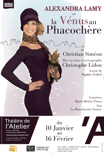 Eclatante et touchante Alexandra Lamy... critique la vénus au phacochère alexandra lamy théâtre atelier
