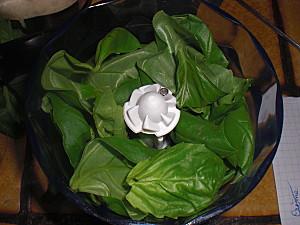 PESTO CIMG8999.JPG