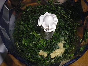 PESTO CIMG9001.JPG