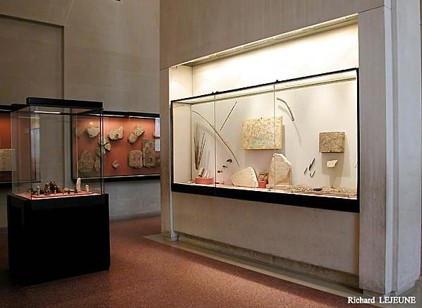 Salle 5 : Vitrines 2, 3 et 4 ² Vitrines 2 - 3 et 4-copie-1