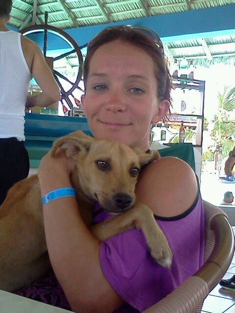 Les derniers mois en photos... Les derniers mois en photos...