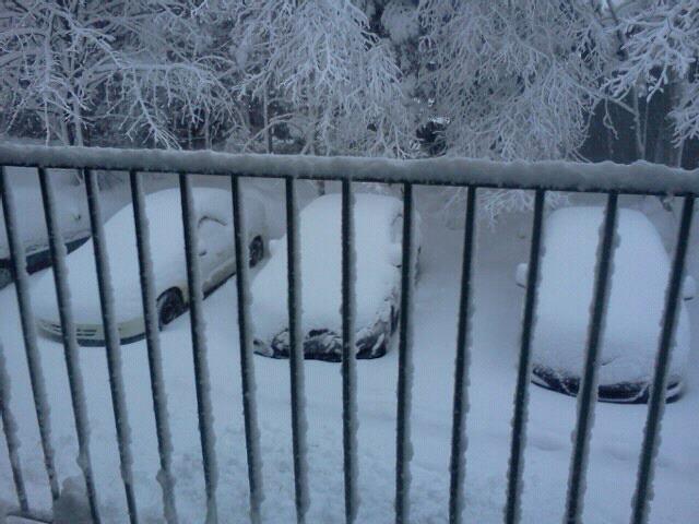 Les derniers mois en photos... Les derniers mois en photos...