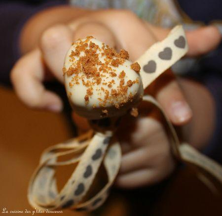 Sucettes speculoos et orange de Mercotte et Cyril Lignac IMG_1725