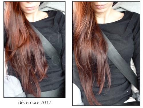 Un rapide bilan de mes cheveux (décembre 2012)
