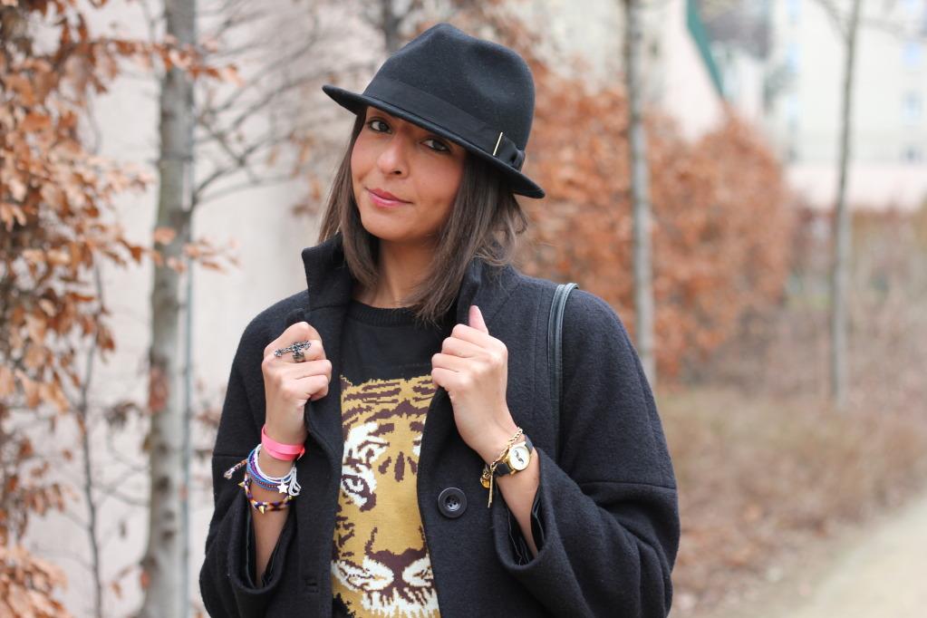 Mouton ? Non tigre ! Mouton ? Non tigre !