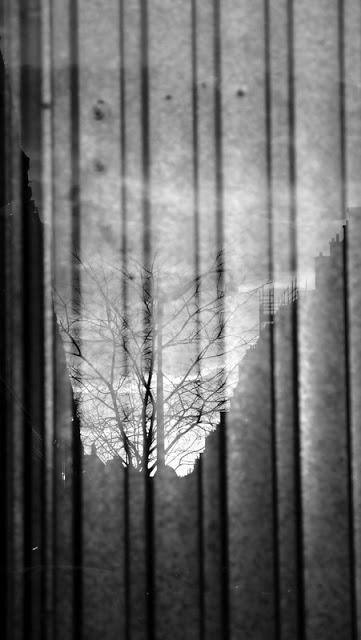 Y comme yin Y comme yin