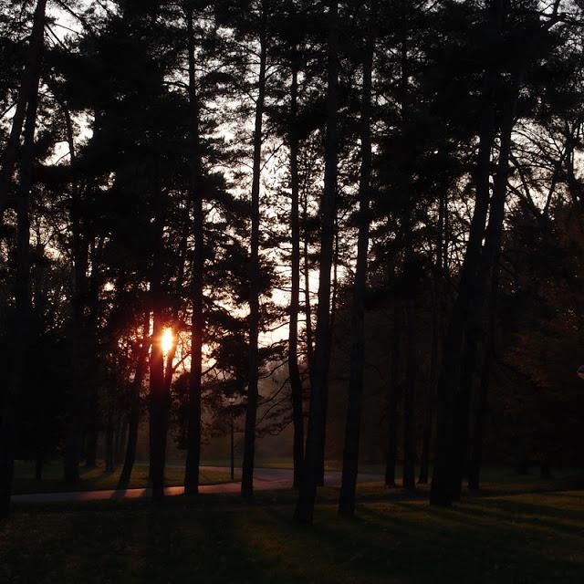 Y comme yin Y comme yin