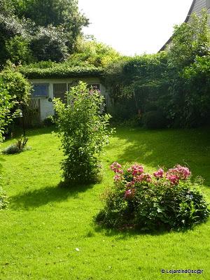Août au jardin... Août au jardin...