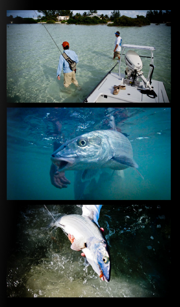 Southern Culture On the Fly #6 Southern Culture On the Fly #6