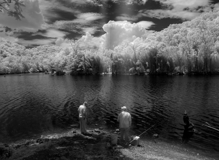 Southern Culture On the Fly #6 Southern Culture On the Fly #6