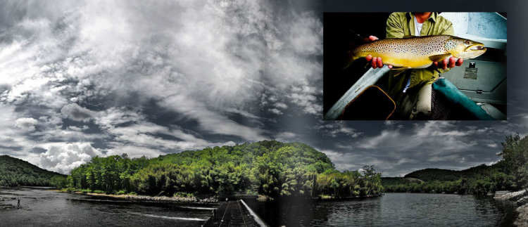 Southern Culture On the Fly #6 Southern Culture On the Fly #6