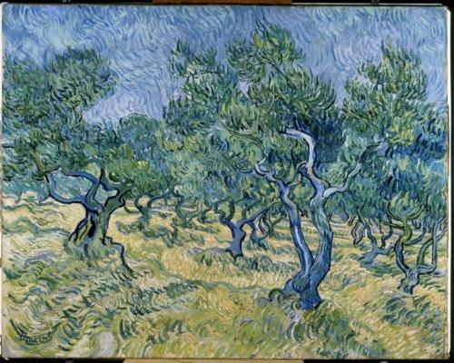 Van Gogh, Oliveraie.jpg