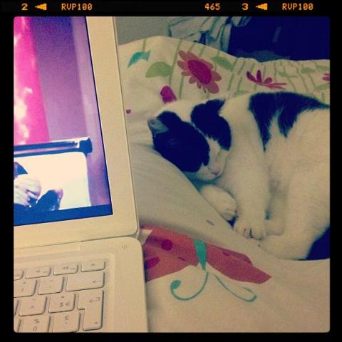 _ Am Stram Gram #7 f4a3c297ee7bde4ac33708dc5e381bdb