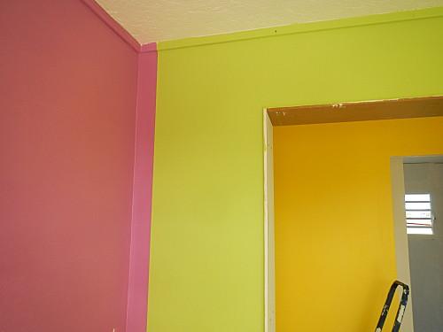 la vie en couleurs ou plutôt ma maison DSCN5189.JPG