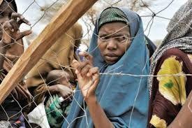 C'est la guerre, bon sang ! réfugiés